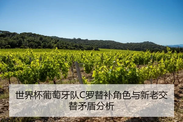 shi-jie-bei-pu-tao-ya-dui-luo-ti-bu-jiao-se-yu-xin-lao-jiao-ti-mao-dun-fen-xi-2-692.jpg