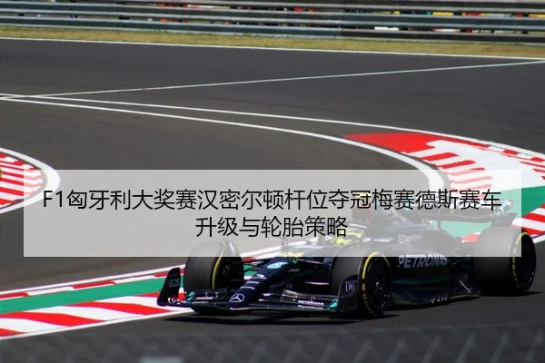 xiong-ya-li-da-jiang-sai-han-mi-er-dun-gan-wei-duo-guan-mei-sai-de-si-sai-che-sheng-ji-yu-lun-tai-ce-lve-2-992.jpg
